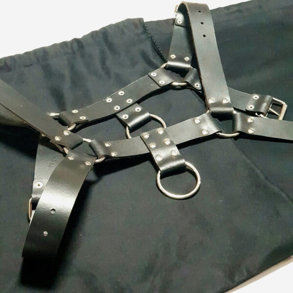 MAD BULLDOG harness - Image 4